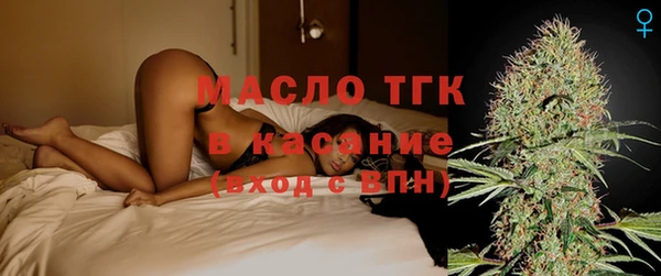 индика Богородицк