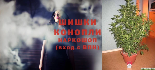 не бодяженный Богданович