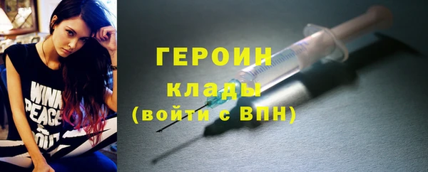 индика Богородицк