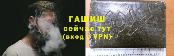 стаф Богородск
