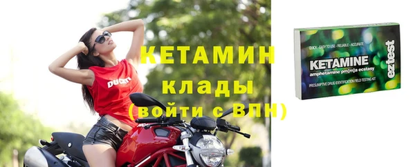 индика Богородицк