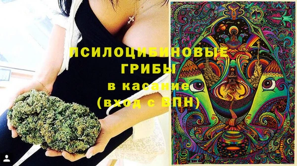 стаф Богородск