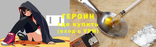 индика Богородицк