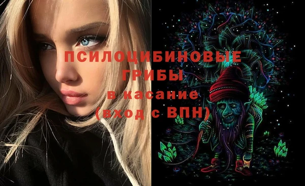 стаф Богородск