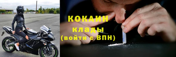 стаф Богородск