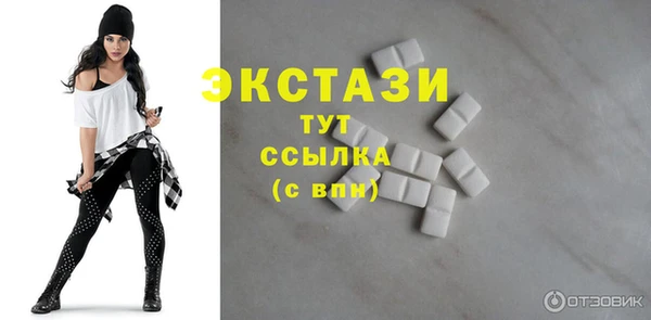 индика Богородицк