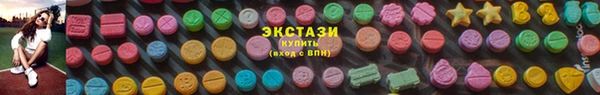 индика Богородицк