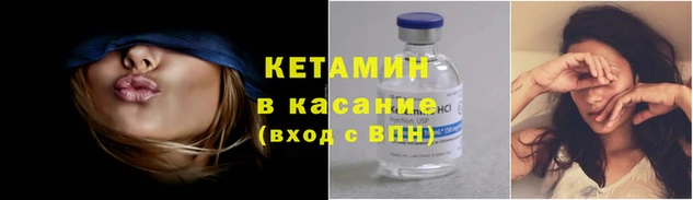 индика Богородицк
