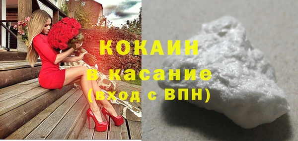 стаф Богородск