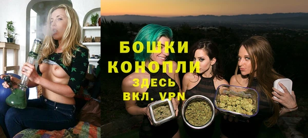 индика Богородицк