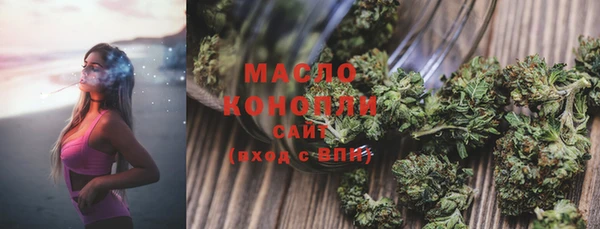 индика Богородицк
