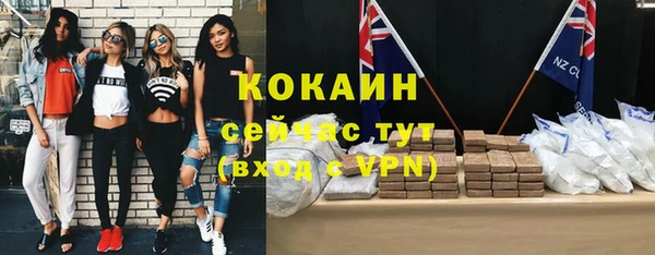 индика Богородицк