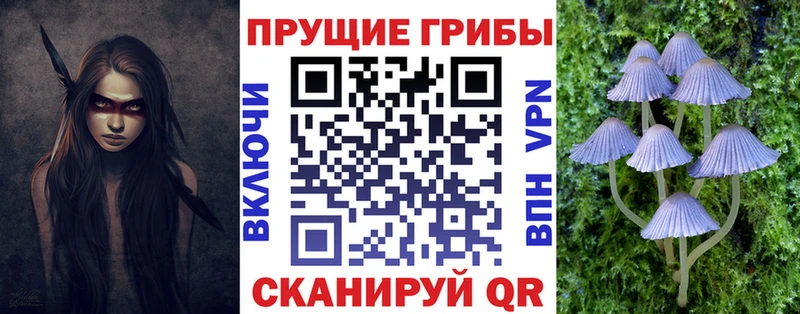 Галлюциногенные грибы прущие грибы  купить закладку  площадка официальный сайт  Старица 